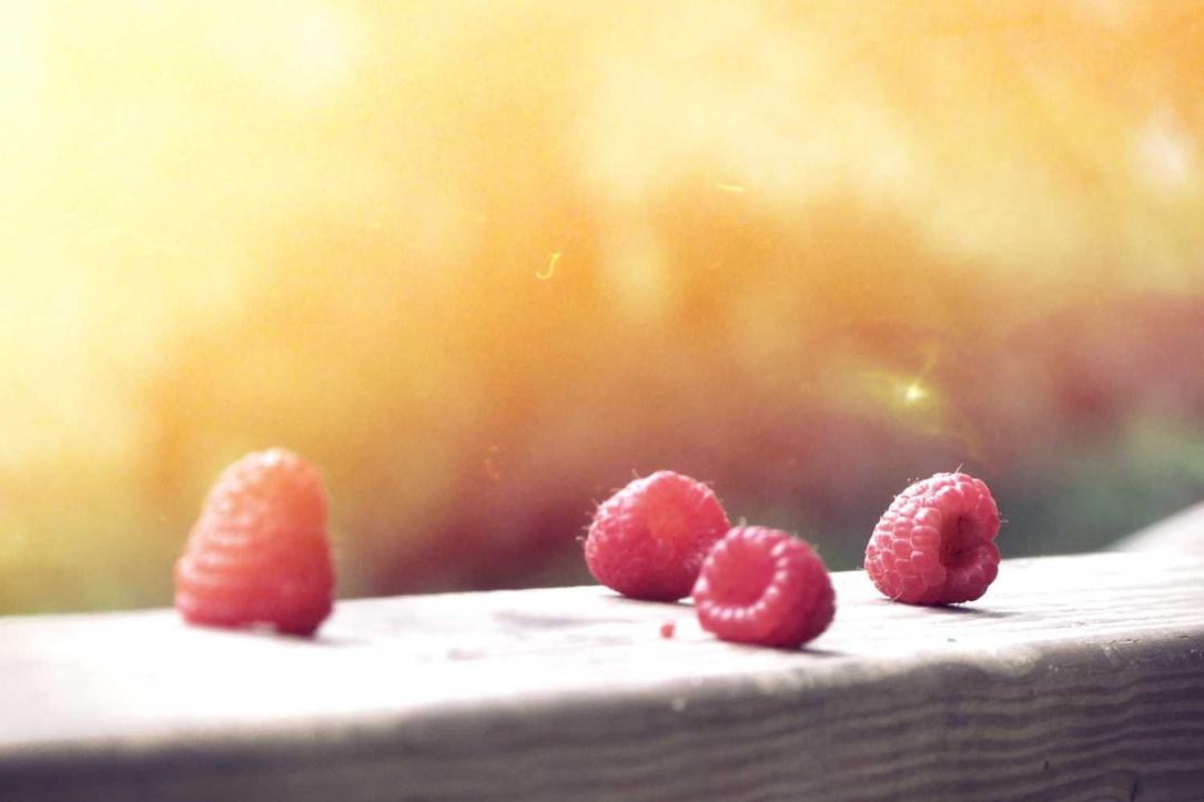 Est explicabo dicta dolorem