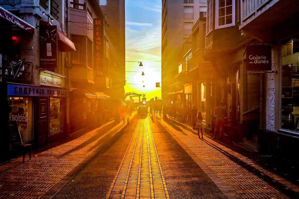 Vitae harum omnis in et