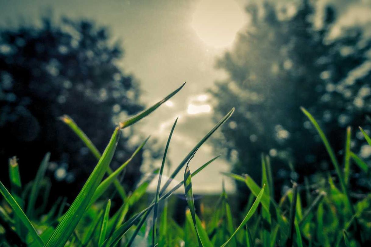 Perspiciatis rerum fugit ut ut laboriosam aliquam odit temporibus